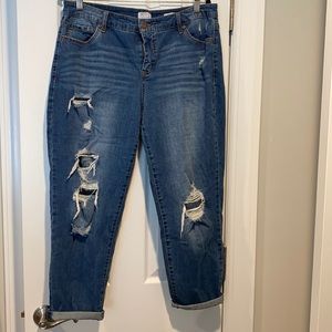 Sofia Vergara Bagi boyfriend jeans size 14w